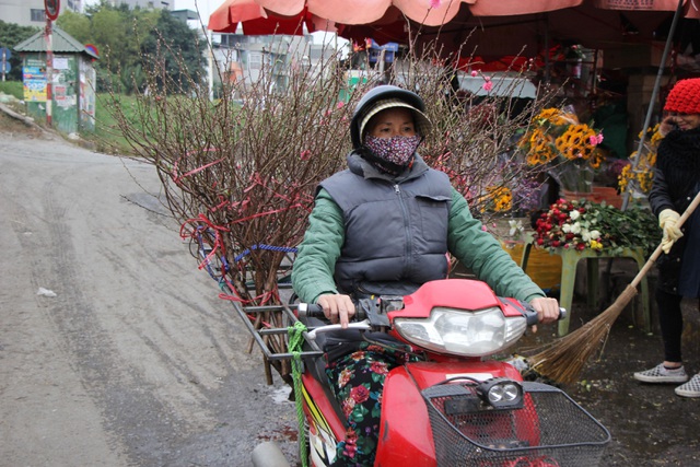 Đào Nhật Tân xuống phố sớm, người Hà Nội thích thú mua đào đón... Noel - 2