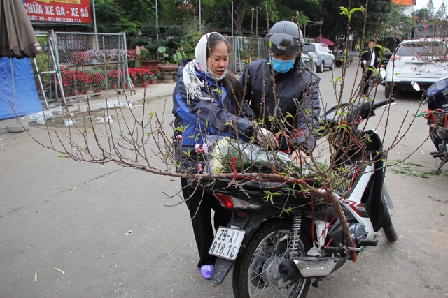 Đào Nhật Tân xuống phố sớm, người Hà Nội thích thú mua đào đón... Noel - 3