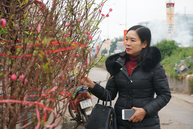 Đào Nhật Tân xuống phố sớm, người Hà Nội thích thú mua đào đón... Noel - 7