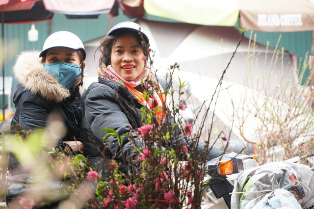 Đào Nhật Tân xuống phố sớm, người Hà Nội thích thú mua đào đón... Noel - 8