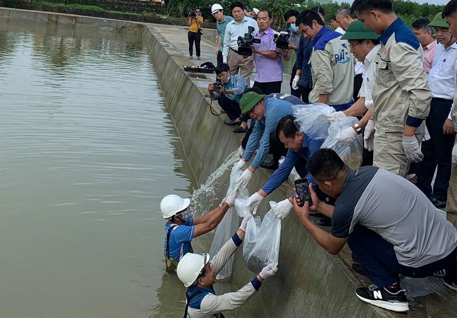 Năm 2020: Việt Nam hứng chịu 576 trận thiên tai khiến 357 người chết và mất tích