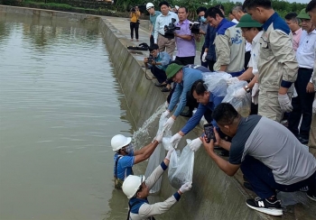 Năm 2020: Việt Nam hứng chịu 576 trận thiên tai khiến 357 người chết và mất tích