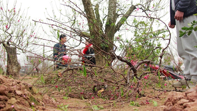 tin tuc ngay 221 khu cho nao loan vi cho dien xuat hien can hang chuc nguoi