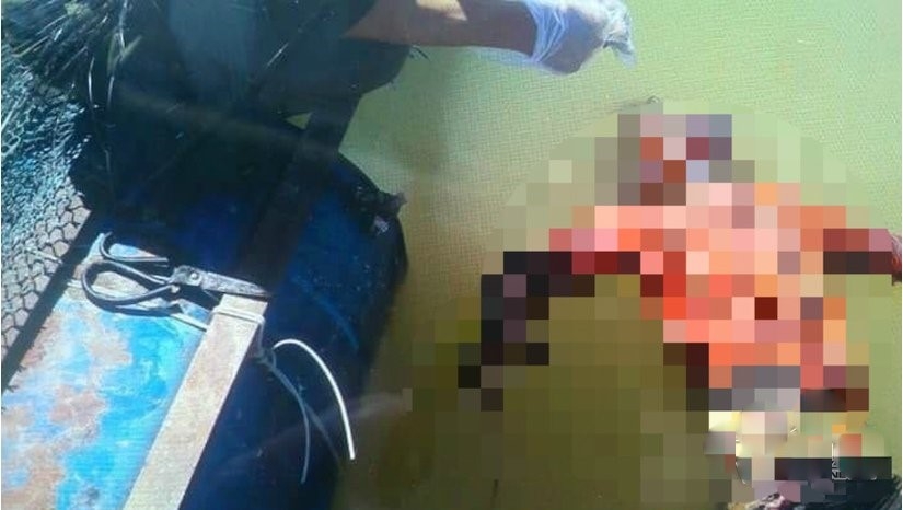 tin tuc 72 kinh hoang be gai bi ban chet ngay mung 2 tet