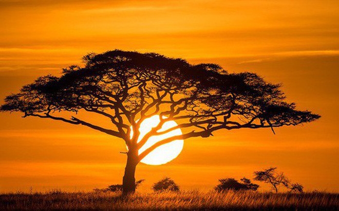 5 quy tắc ứng xử khi cần sự giúp đỡ 5 quy tac ung xu khi nho va su giup do