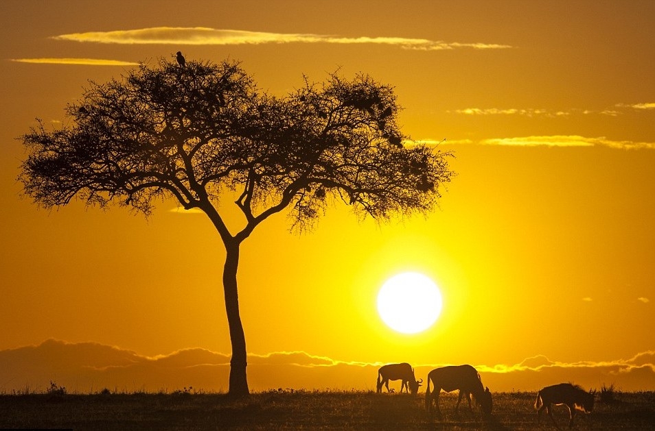 5 quy tắc ứng xử khi cần sự giúp đỡ 5 quy tac ung xu khi nho va su giup do