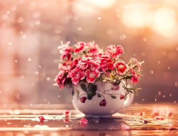 Tử vi ngày 30/11/2018: Tuổi Dần bi quan, tuổi Mão thư thái