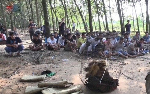 Tin tức trong nước hôm nay (2/12) tin tuc trong nuoc hom nay 212