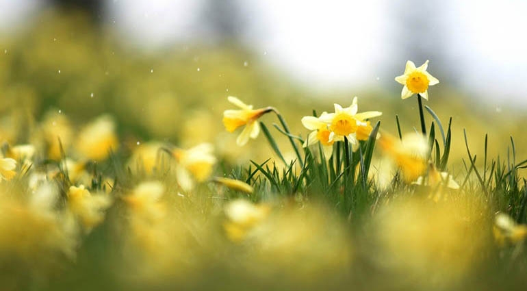 Tử vi ngày 21/11/2022: Tuổi Tý tài chính chuyển biến, tuổi Mùi hành động mù quáng Tử vi ngày 21/11/2022: Tuổi Tý tài chính chuyển biến, tuổi Mùi hành động mù quáng