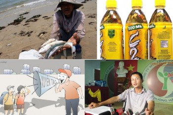 Đích thị là 'Việt gian'!