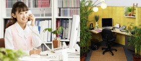 Những lưu ý để có phong thủy tốt tại nơi làm việc