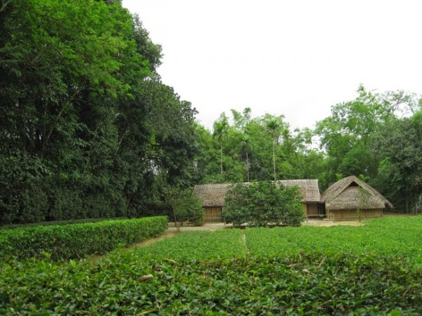 canh dong chau au 1