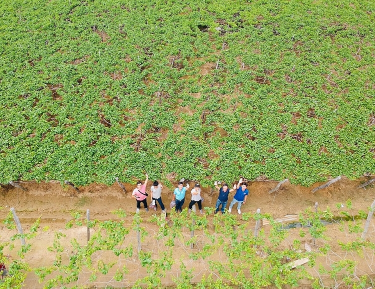 doan thanh nien va hoi cuu chien binh vietsovpetro vi bien dao que huong nam 2019