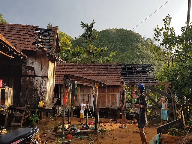 loc xoay can quet pha hong 100 nha dan