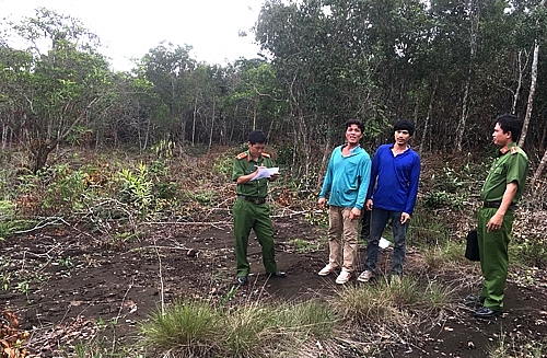 diem tin ngay 37 da nang 6 thang dau nam khong phat hien tham nhung