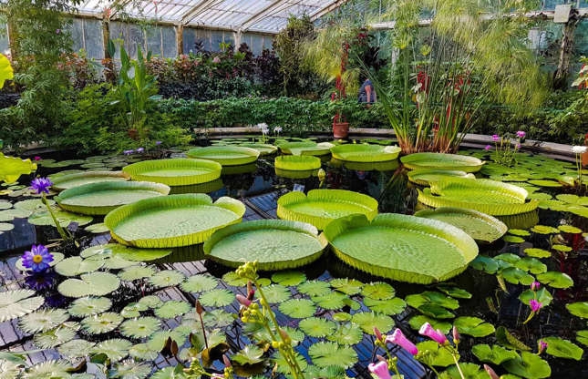 Top 10 ngôi nhà kính tuyệt đẹp du khách không nên bỏ lỡ