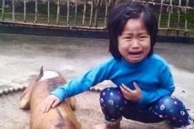 Còn ai nỡ ăn... thịt chó?!