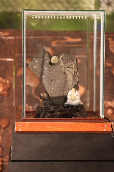 'Vết sẹo cuộc đời 6': Thêm 210 em bé được mổ tim vet seo cuoc doi 6 them 210 em be duoc mo tim