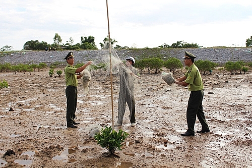 bao ve chim troi hoang da trong mua di cu