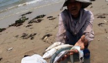 ca chet noi trang kenh nhieu loc thi nghe