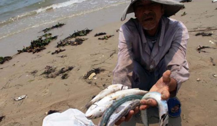 vu ca chet o mien trung vi sao khoanh vung rong