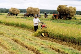 NHNN chỉ đạo hướng dòng vốn vào tam nông