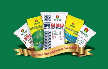 Đạm Cà Mau khẳng định vị thế trong lĩnh vực phân bón, nông nghiệp