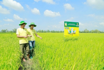 Đạm Cà Mau - 8 năm một chặng đường không ngừng sáng tạo để phát triển