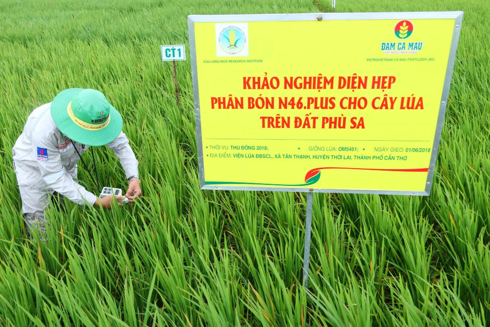 trung tam nghien cuu phat trien dam ca mau duoc cap phep khao nghiem phan bon