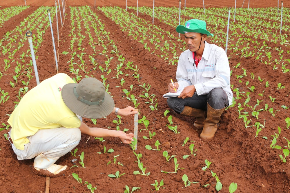 trung tam nghien cuu phat trien dam ca mau duoc cap phep khao nghiem phan bon
