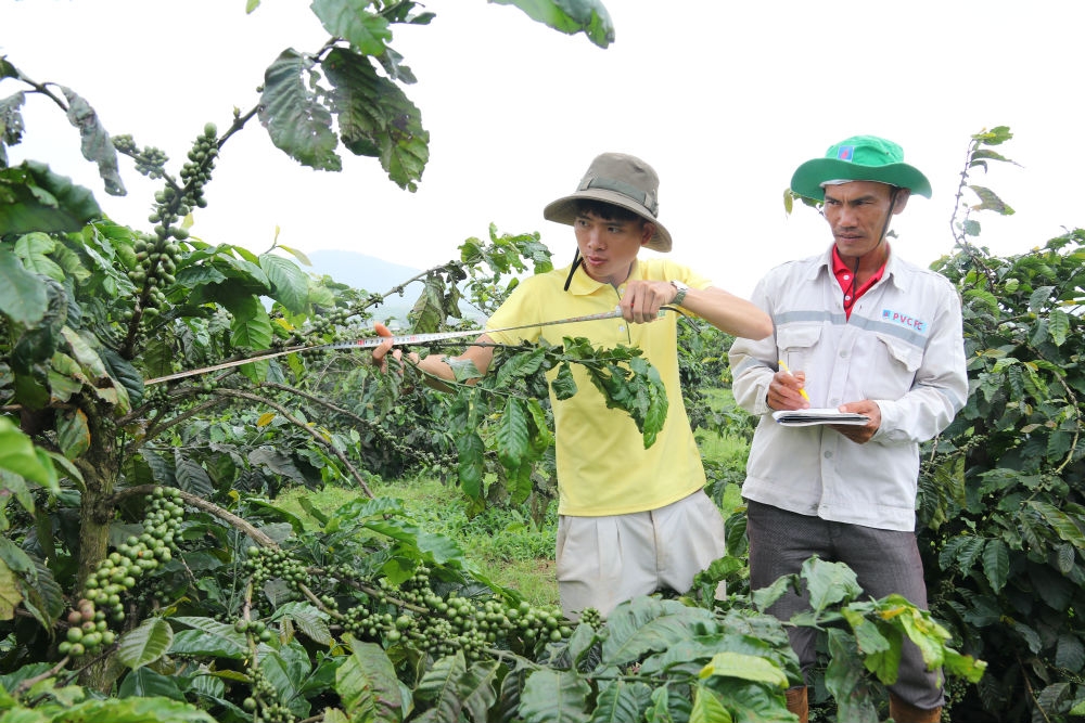trung tam nghien cuu phat trien dam ca mau duoc cap phep khao nghiem phan bon
