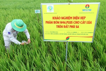 Trung tâm Nghiên cứu phát triển Đạm Cà Mau được cấp phép khảo nghiệm phân bón