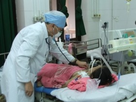 Miền Nam đối mặt với dịch cúm A/H5N1