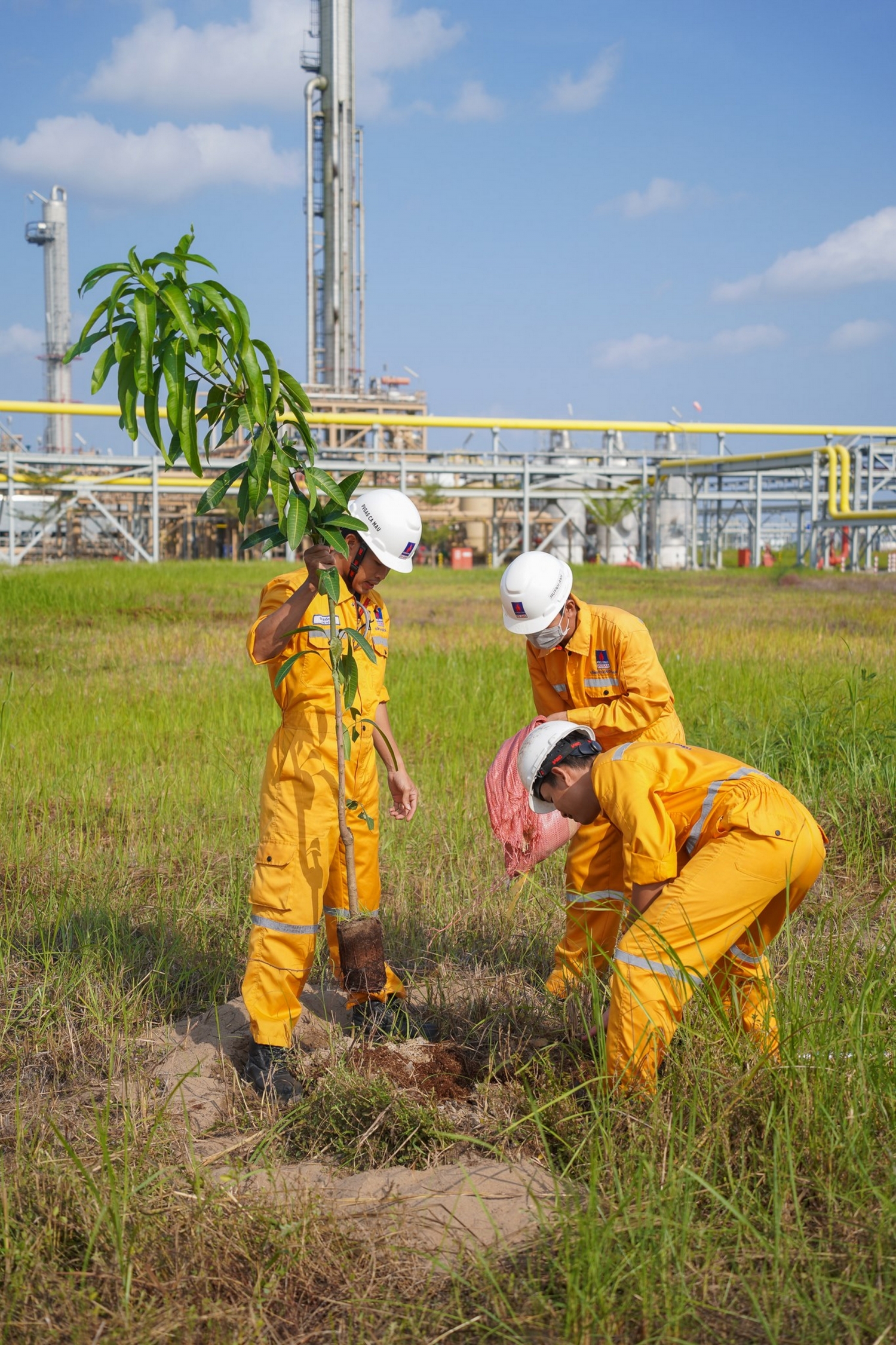 KCM tổ chức trồng cây phủ xanh công trình khí