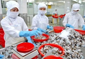 Tìm đường vào thị trường Hoa Kỳ