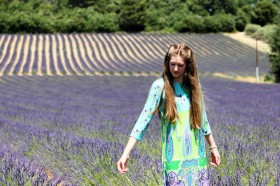 Tìm nơi ngắm hoa oải hương đẹp nhất mùa hè