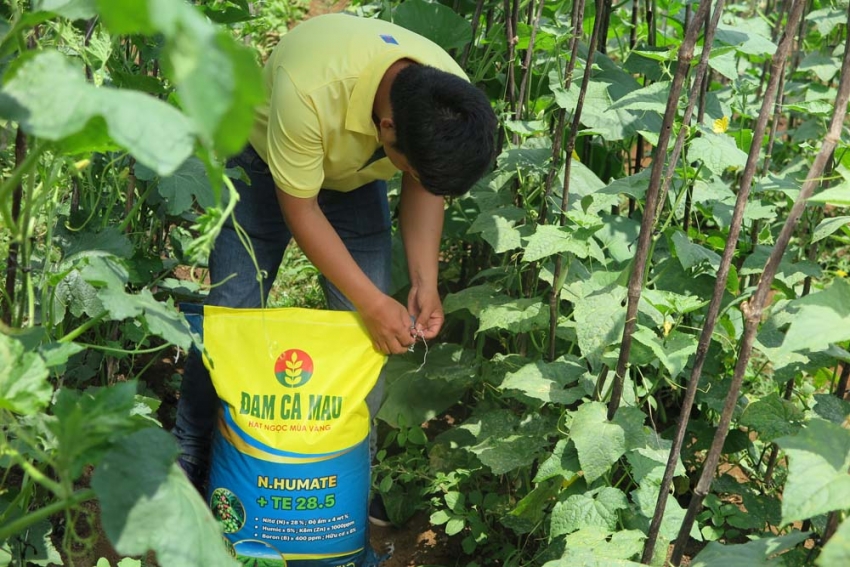 cac su kien noi bat cua pvn trong tuan tu 284 den 55