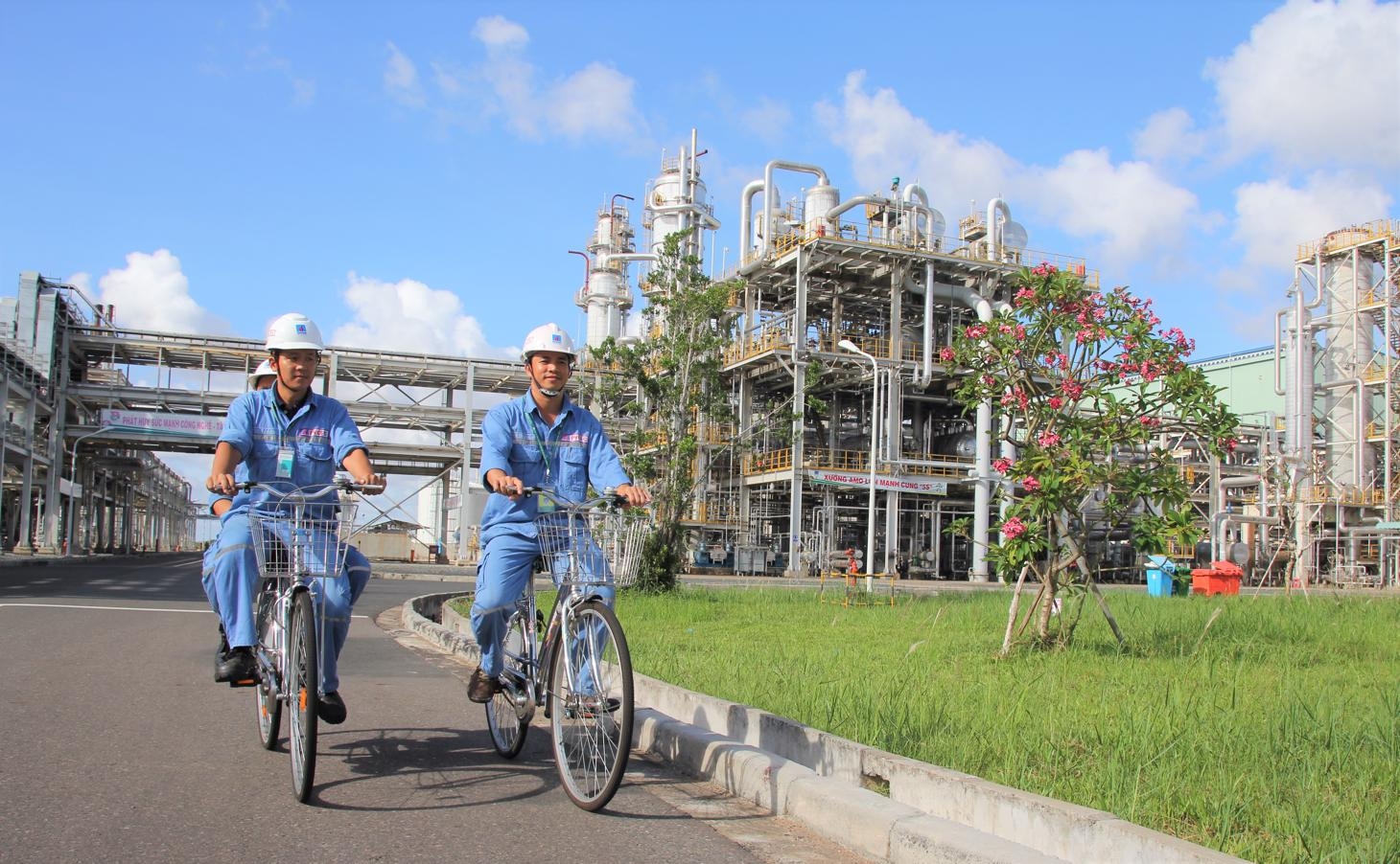 Đạm Cà Mau coi an toàn vệ sinh lao động là yếu tố hàng đầu
