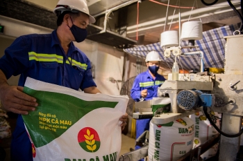 DCM: Giá urê phục hồi thúc đẩy kết quả kinh doanh quý 1 tăng trưởng mạnh