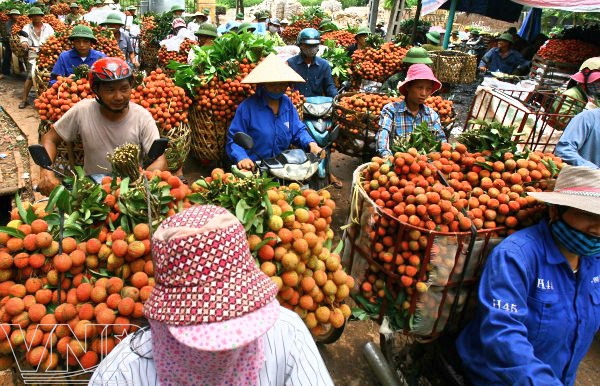 Nông sản điêu đứng do công nghiệp chế biến chậm phát triển