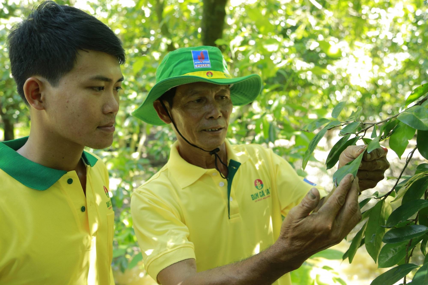 npk ca mau thach thuc va co hoi