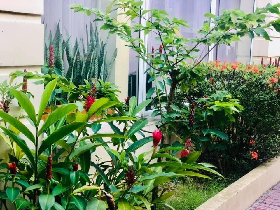 NT2 – Sinh nhật đặc biệt trong năm Covid thứ 2