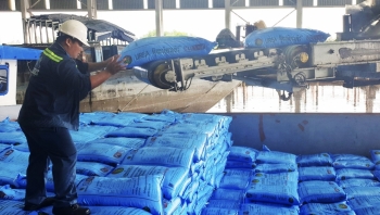 Đạm Cà Mau: Nỗ lực vượt khó bằng nhiều giải pháp thiết thực