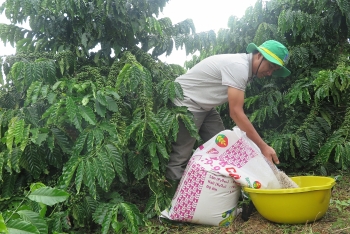 Chọn đúng phân bón để canh tác hiệu quả