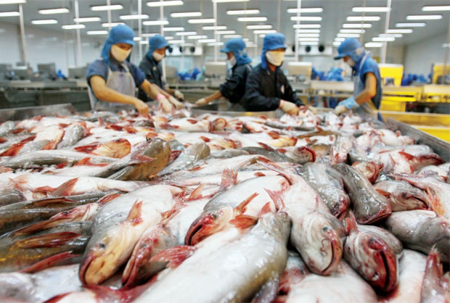 Xuất khẩu nông sản sang Trung Quốc gặp khó
