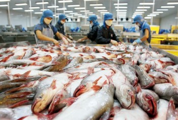 Xuất khẩu nông sản sang Trung Quốc gặp khó