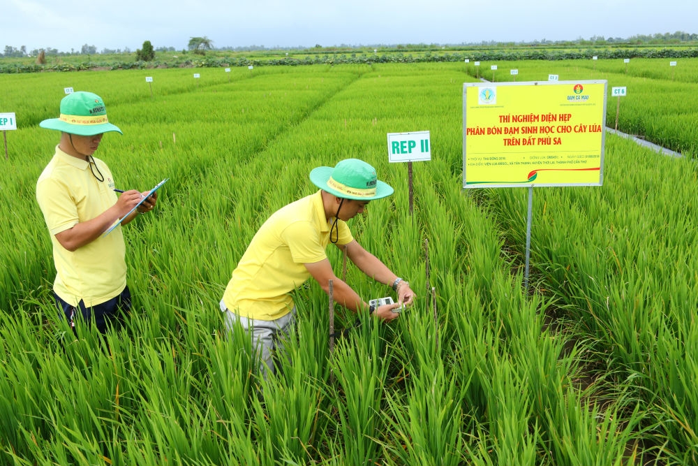 142 hop tac xa trai nghiem phan bon ung dung cong nghe cao cua dam ca mau