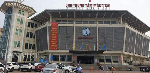Tin tức kinh tế ngày 28/8: Xây cầu thay thế phà Cát Lái năm 2020