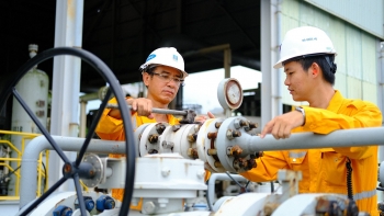 Công ty Chế biến khí Vũng Tàu tuyển kỹ sư