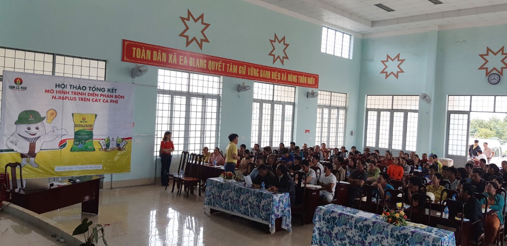 dam xanh ca mau bon hieu qua tren cay ca phe tai dak lak